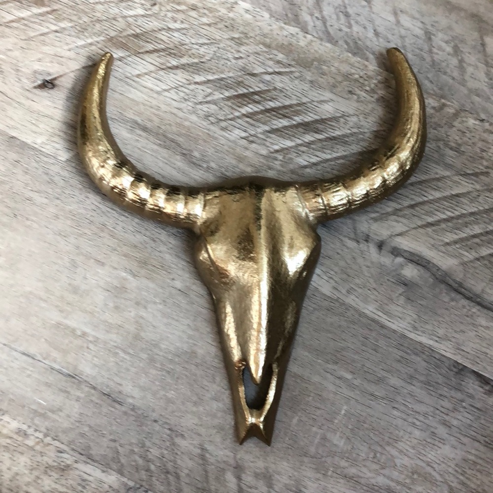 Cow Skull Decor